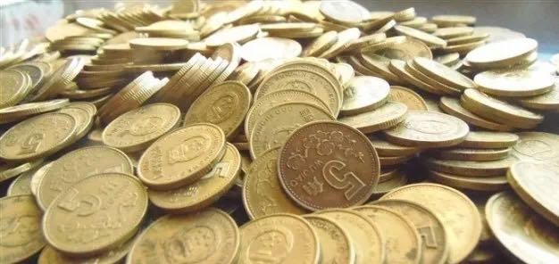 “梅迷”踏雪尋“梅”所為何？